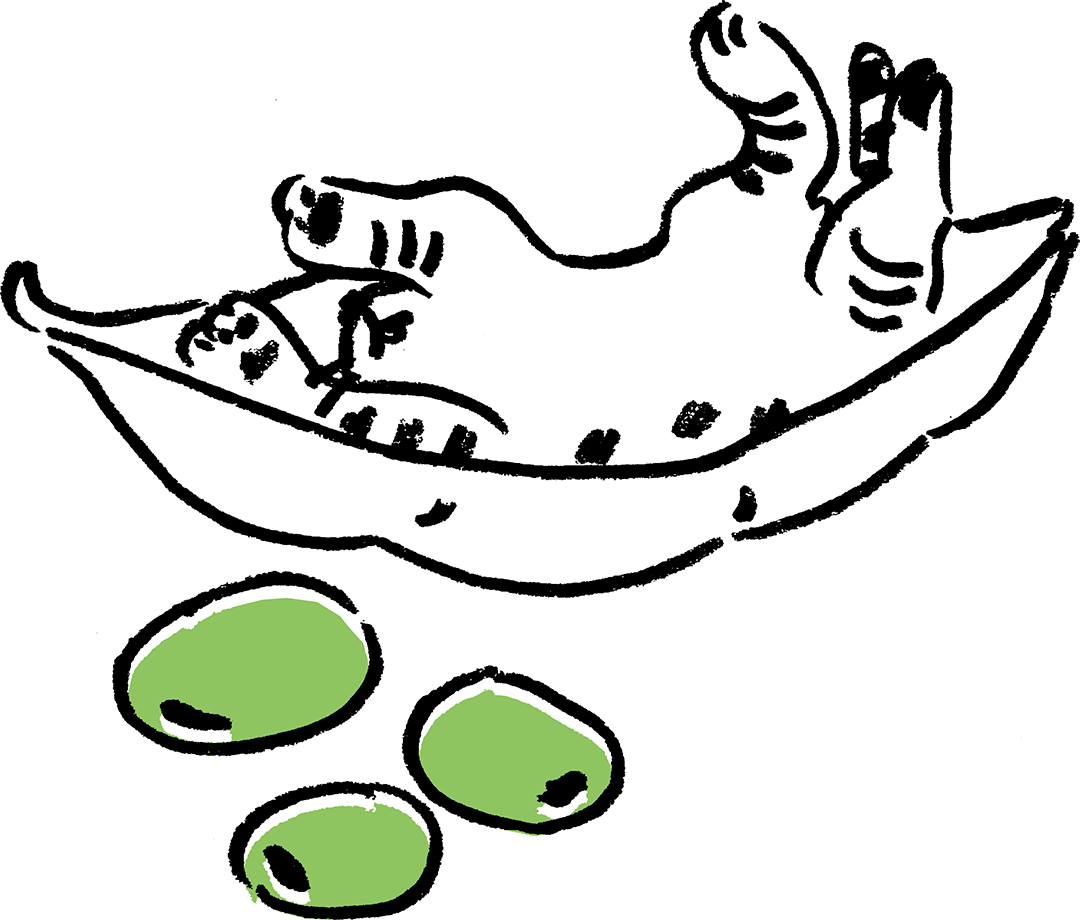 キャットシッターまめねこさん CAT SITTER